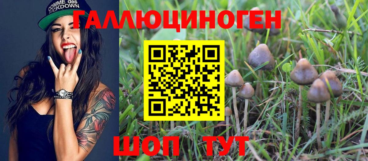 Галлюциногенные грибы прущие грибы Улан-Удэ