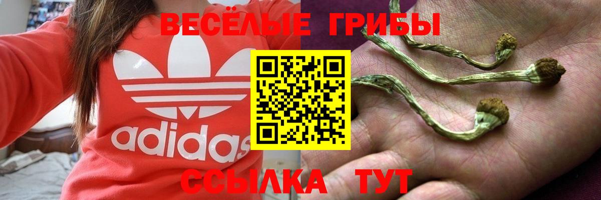 Псилоцибиновые грибы прущие грибы  Вход с VPN  Улан-Удэ 